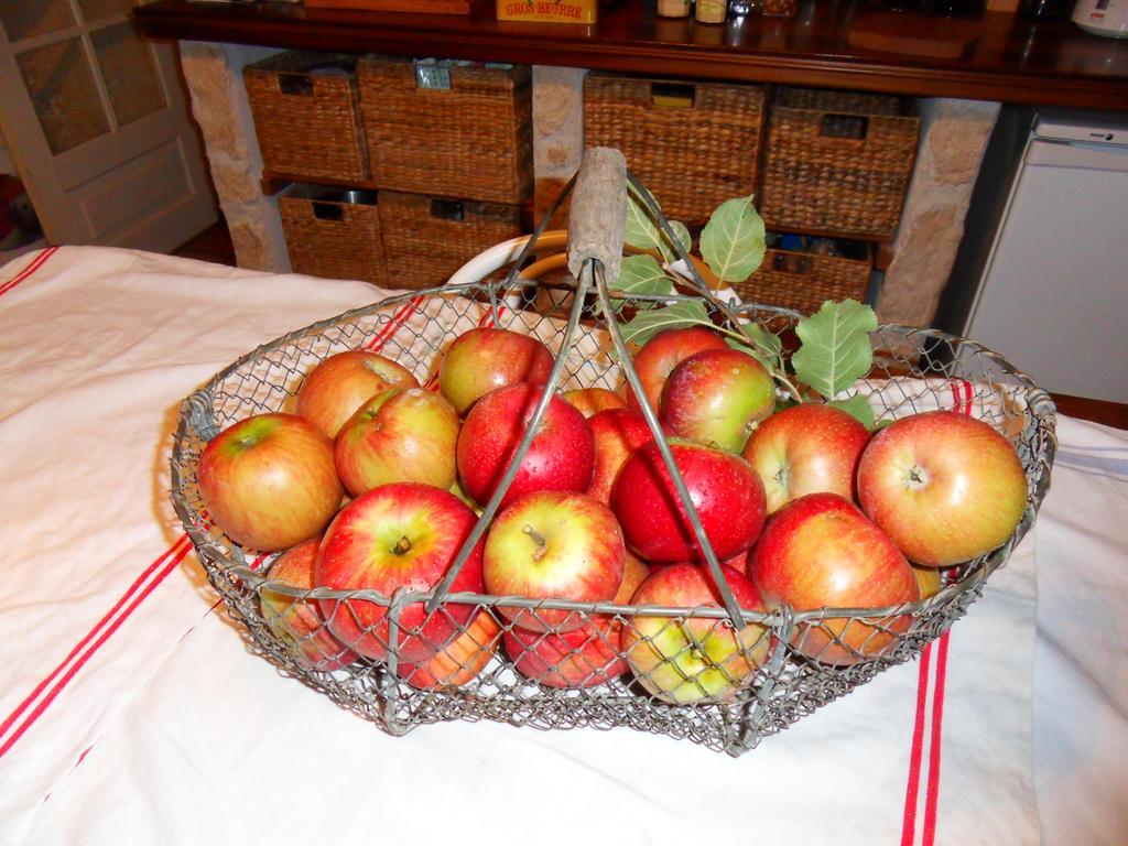 L'Estapade Des Tourelons Bed and Breakfast Saint-Jean-en-Royans Εξωτερικό φωτογραφία